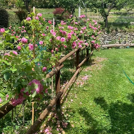 Casa Dei Tigli * Ormea