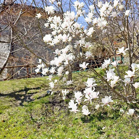 Сasa de vacaciones Casa Dei Tigli