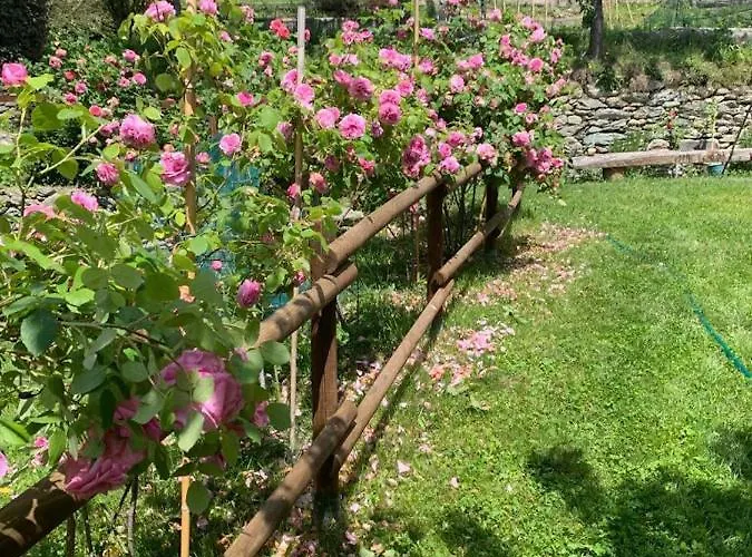 Casa Dei Tigli * Ormea