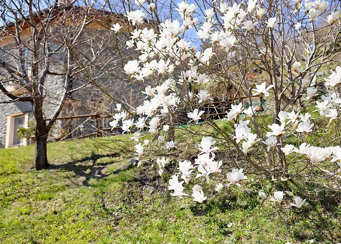 Σπίτι διακοπών Casa Dei Tigli
